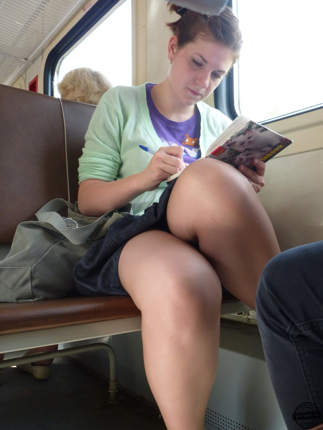 public upskirt voyeur train