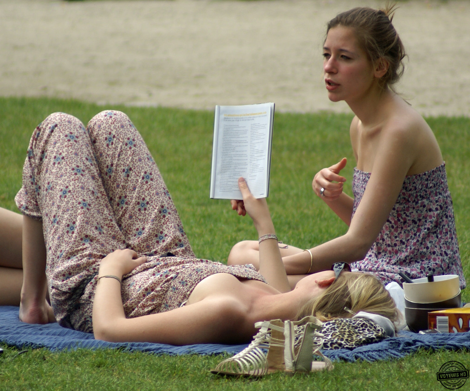 Lawn Party with Cleavage - Voyeur Videos