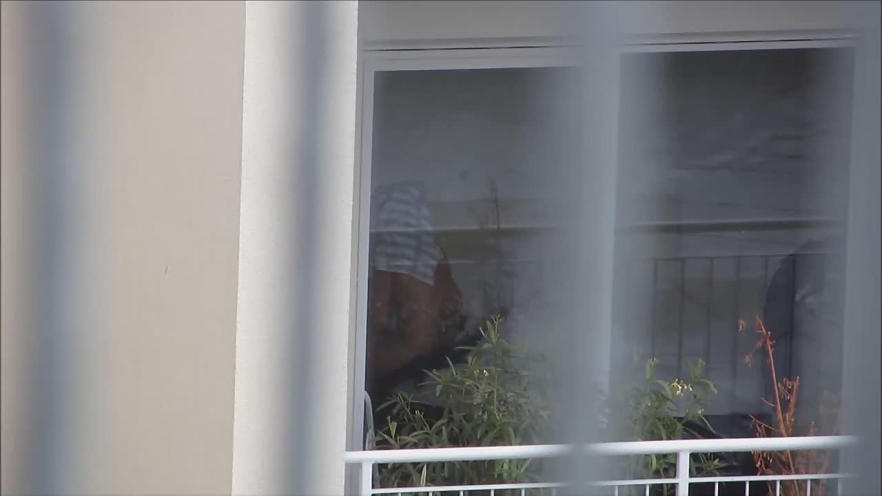 Window peeping on hot naked neighbor - Voyeurs HD 
