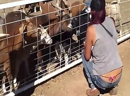 Girlfriend playing with the goats