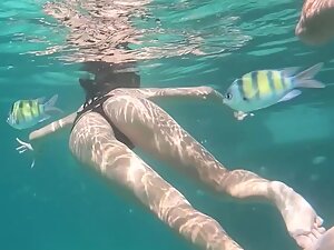 Underwater video of hot ass swimming with tropical fishes