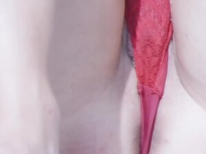 Anus and pussy slipping out of red lace thong